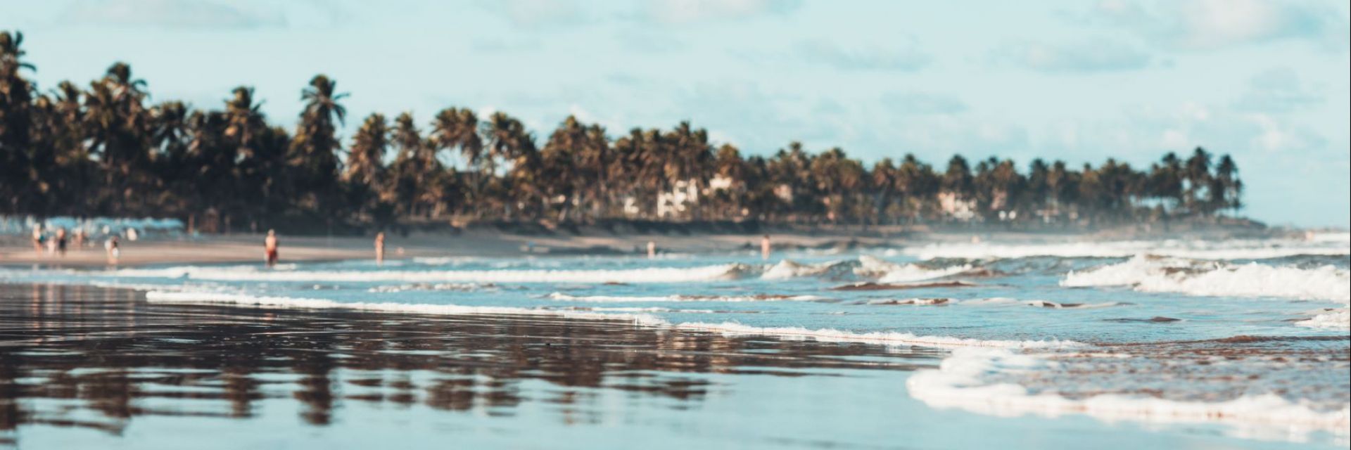 Praia do Forte: explore as belezas naturais do destino