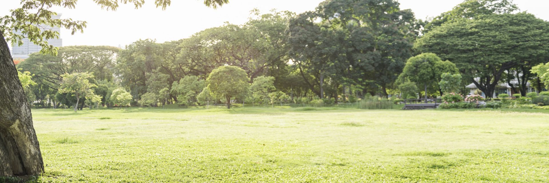 Conheça todos os detalhes sobre o Eco Parque Sauípe