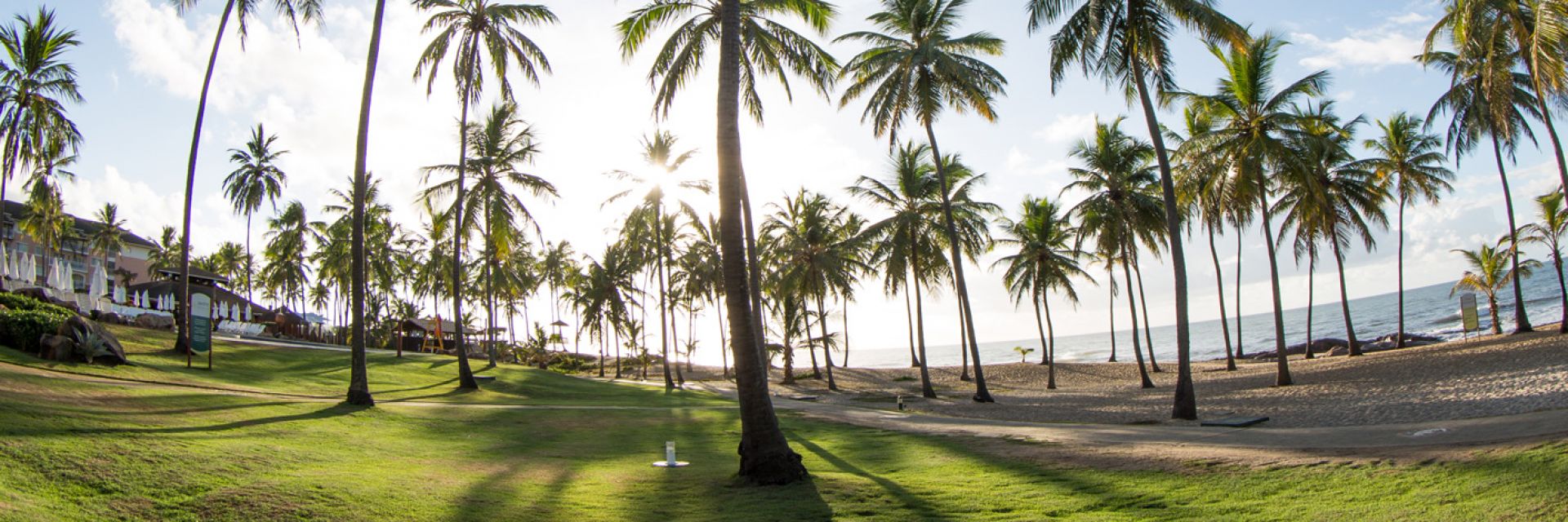 Top 5: conheça as melhores praias do Brasil