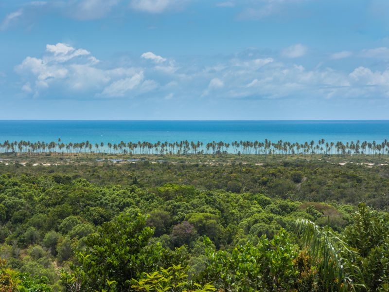 Praia do Imbassaí, na Bahia