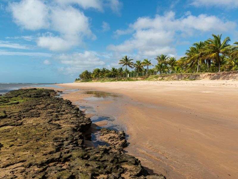 Praia de Itacimirim na Bahia
