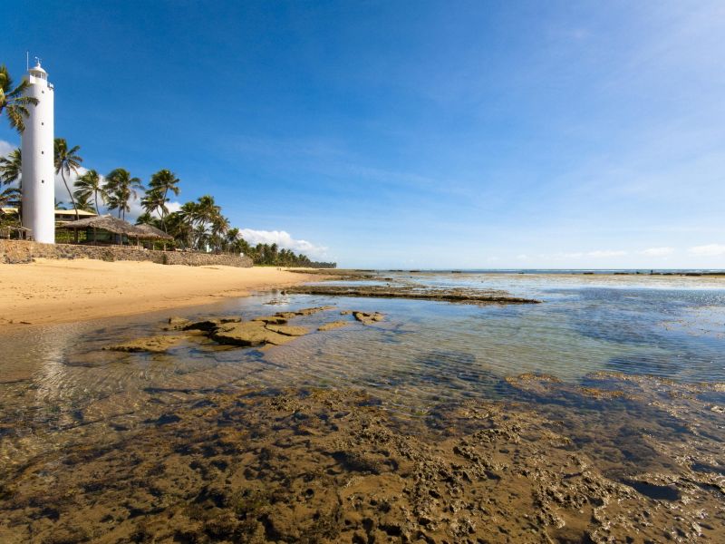 Praia do Forte, na Bahia