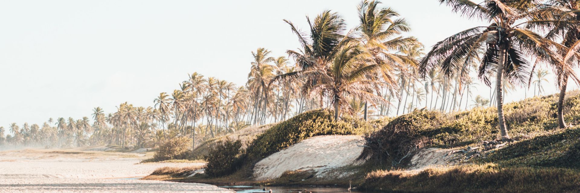 O que fazer na Bahia? Conheça as nossas dicas!