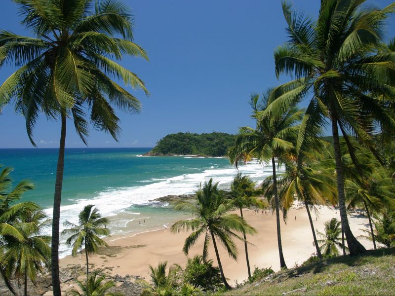 Coqueiros no alto de um morro em Itacaré, com a orla da praia e o mar ao fundo