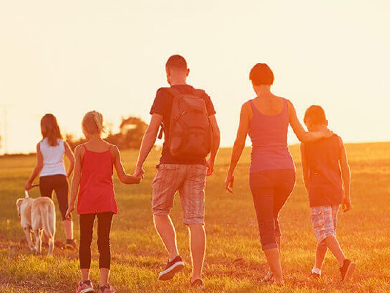 Imagem de uma família caminhando em um campo verde ao ar livre