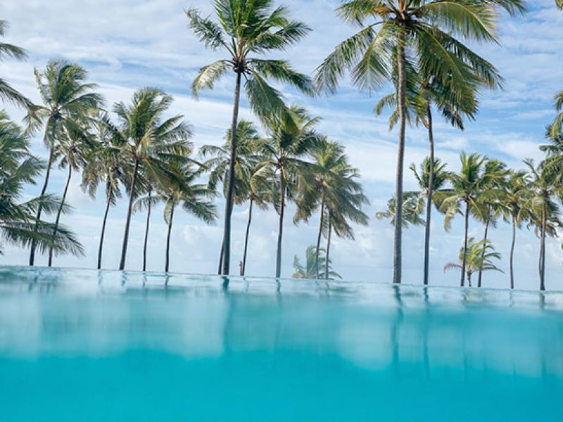 piscina cercada por coqueiros representando destino onde é necessário pagar taxa de turismo
