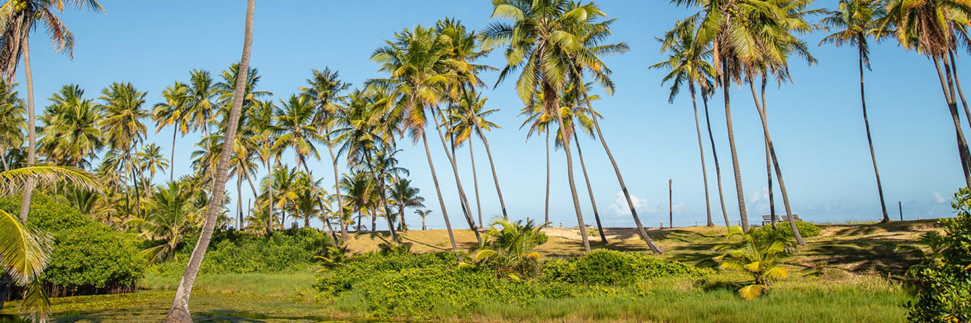 Viagem para Bahia: veja como aproveitar o estado ao máximo 