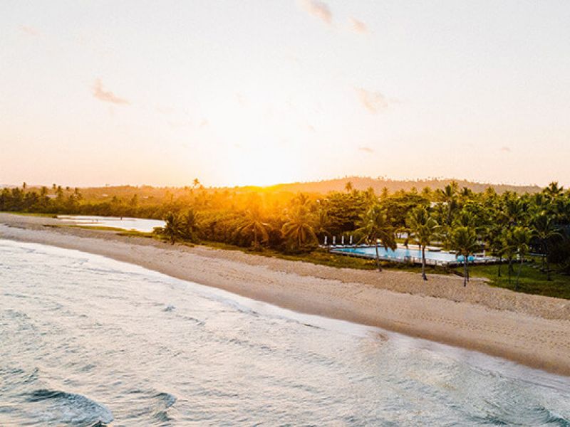 Imagem de uma praia próxima a vasta vegetação