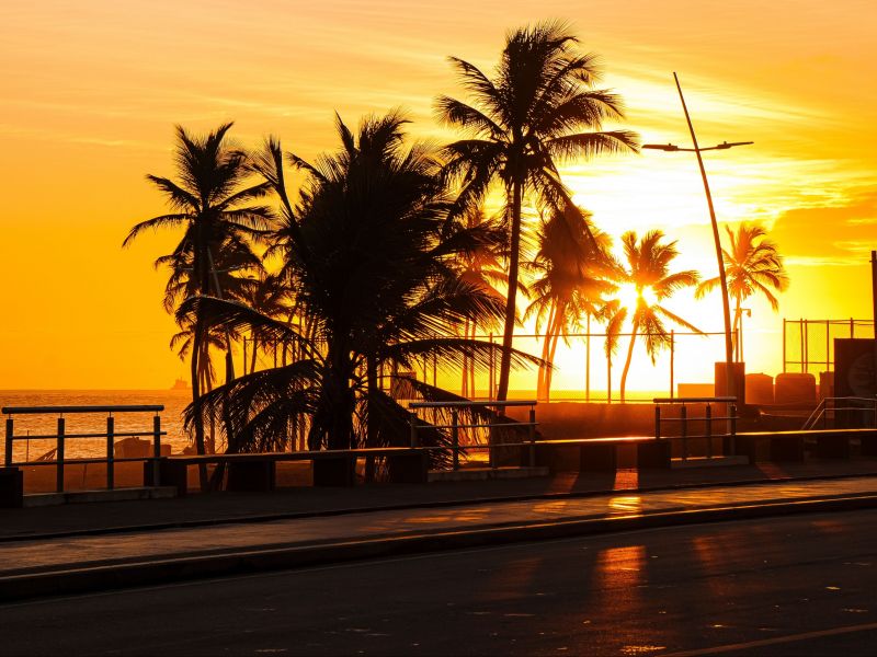 Paisagem do pôr do sol por trás de alguns coqueiros na Praia de Ondina, em Salvador