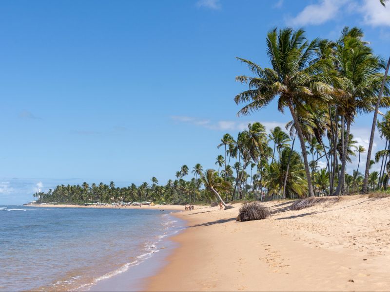 orla da praia na Costa dos Coqueiros. Uma longa faixa de areia com o mar azul 