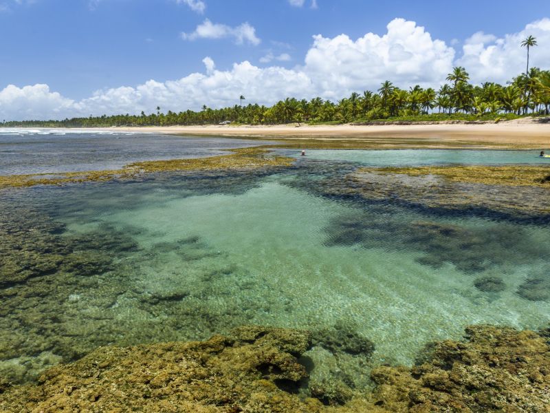 Piscinas naturais de água transparente na Península de Maraú