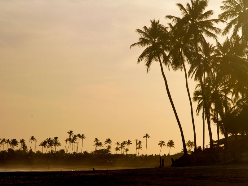 Praia de Itacimirim, na Bahia. Pôr do sol em contraste com o mar e os coqueiros. 