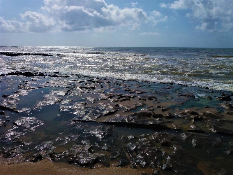 Mar esverdeado de Porto de Sauípe visto da areia escura