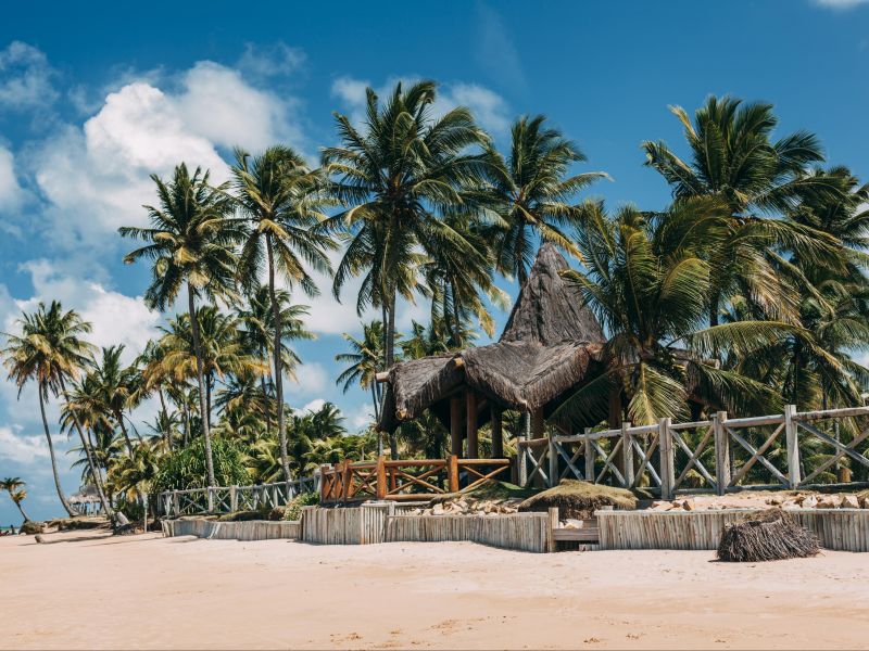 Chalé de palha na areia da Praia em Taipu de Fora