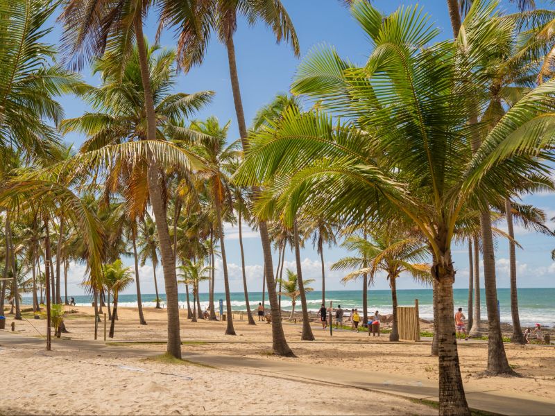 Praia em frente ao Costa do Sauípe